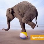 تصویر: MBTI پیشرفته: نقش کارکرد کمکی در رشد شخصیت