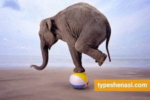 تصویر: MBTI پیشرفته: نقش کارکرد کمکی در رشد شخصیت