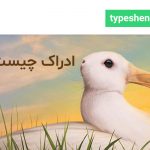 تصویر: ادراک چیست؟