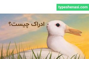 تصویر: ادراک چیست؟