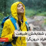 تصویر: نیروی شفابخش طبیعت برای افراد درون‌گرا