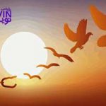 تصویر: آنچه در کنترل ماست، آنچه در کنترل ما نیست