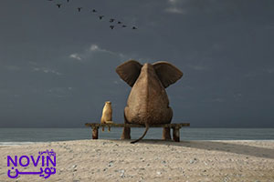 تصویر: معایب بیش از حد خود را سرزنش کردن برای تیپ شخصیتی INTJ