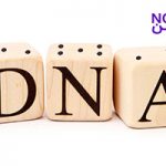 تصویر: آیا شخصیت وراثتی است یا به محیط وابسته است؟