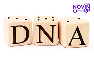 تصویر: آیا شخصیت وراثتی است یا به محیط وابسته است؟