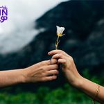 تصویر: نکاتی در مورد ارتباط عاطفی با خردگراها (قسمت دوم)