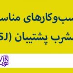 تصویر: مشرب‌های MBTI: پشتیبان‌ها (SJ) و راه‌اندازی کسب‌و‌کار شخصی
