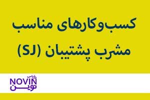 تصویر: مشربهای MBTI: پشتیبانها (SJ) و راهاندازی کسبوکار شخصی