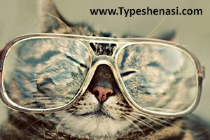 تصویر: تیپ شخصیتی و خطای نتیجهگیری