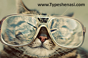 تصویر: تیپ‌ شخصیتی و خطای نتیجه‌گیری