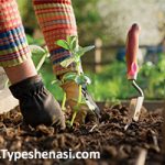 تصویر: تیپشناسی MBTI چه کمکی به انتخاب شغل مناسب میکند؟