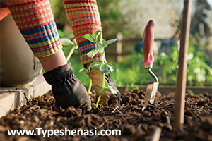 تصویر: تیپ‌شناسی MBTI چه کمکی به انتخاب شغل مناسب می‌کند؟